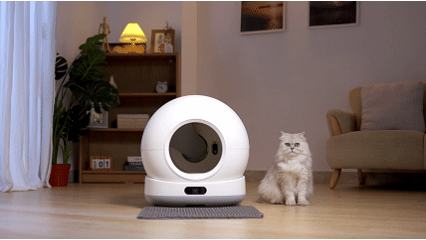 Smart Cat Litter Box in action showing automatic cleaning